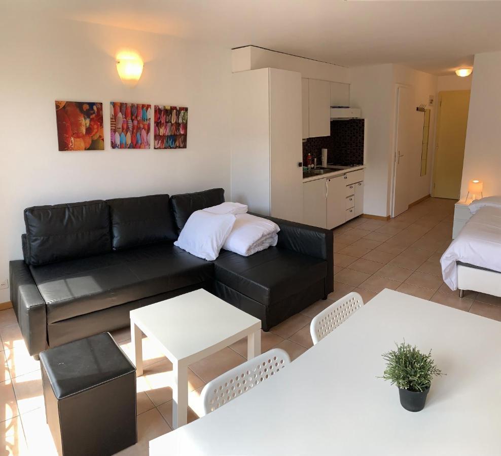 Vue Chateau Apartment Neuenburg